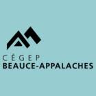 beauce2